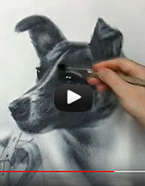 Laika Space Dog drawing video